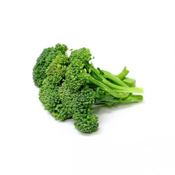 Spouting Broccoli